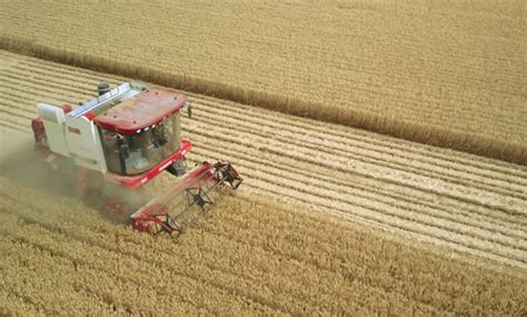 河南进入“麦收时间”“，8500多万亩小麦开始收割 - 河南一百度