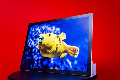 Image result for Staff Base Light Box