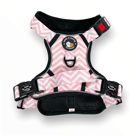 Cute Dog Harnesses – Zelda & Harley