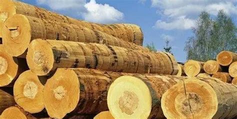 常见木头图片及名称,木头种类名称图片,木头图片大全_大山谷图库