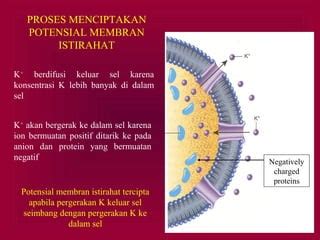 Image result for Ccpp Projects