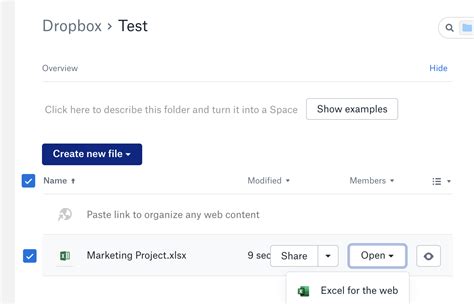 Open Dropbox File 的图像结果