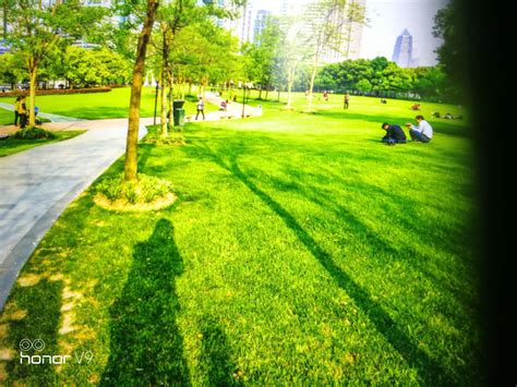 公园、公共绿地_北京绿京华生态园林股份有限公司