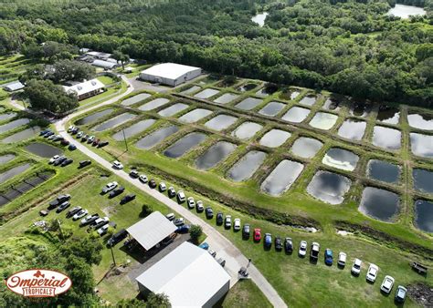 Java Tropical Fish Farm 的图像结果