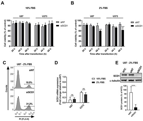Stearoyl CoA Desaturase-1 Silencing in Glioblastoma Cells: Phospholipid ...