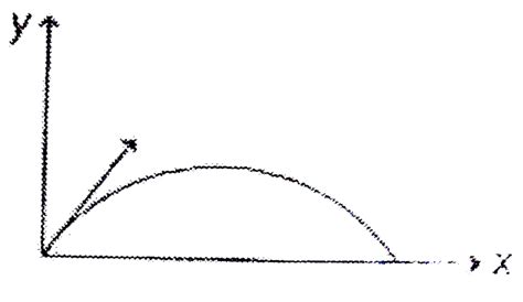 For projectile motion, which of the following graphs is/are corrects.