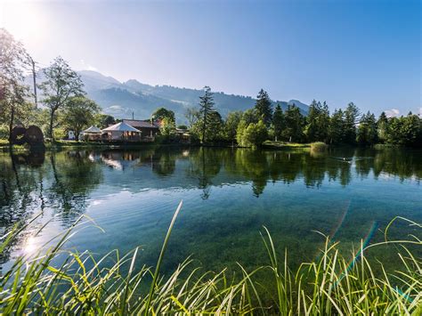 FORELLENSEE ZWEISIMMEN (2026) All You Need to Know BEFORE You Go (with ...