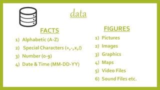 Image result for Data Examples in Computer