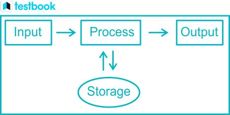 Input and Output Model 的图像结果