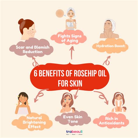 Blossom Your Beauty Routine: The Miracles of Rosehip Oil for Your Face - Beauty And Lifestyle Blog