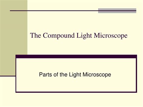 Compound Microscope Light Source 的图像结果