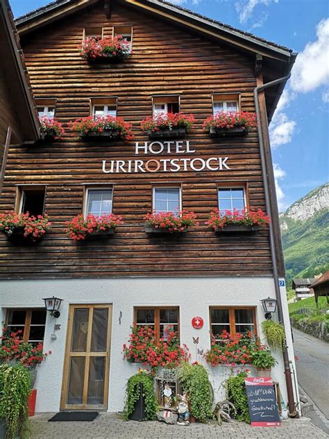 Alps Encoder 的图像结果