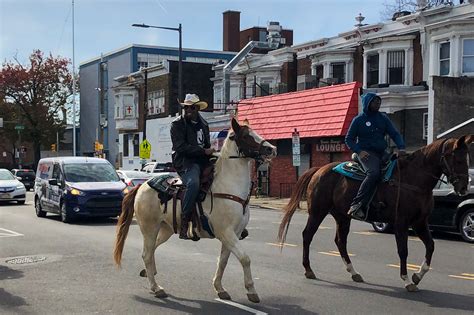 Riding their horses through Philly on Election Day, urban cowboys of ...