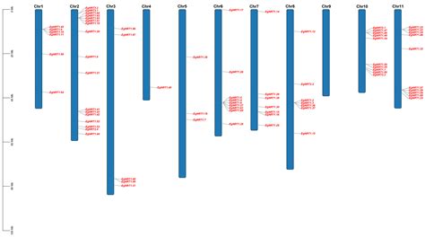 Genome-Wide Identification and Expression Analysis of Nitrate ...
