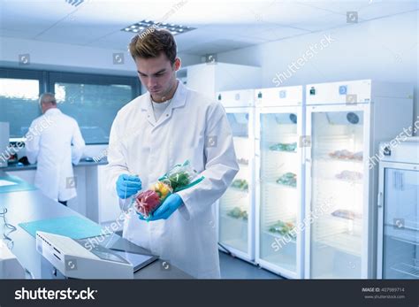 Food Science Lab 的图像结果