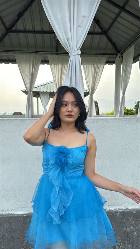 BLUE ROSY RUFFLES DRESS – Tailormade