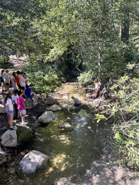 Our Programs - Idyllwild Pines