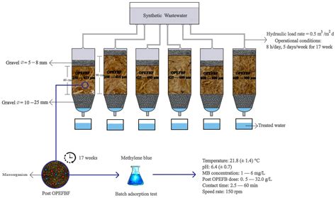 From Renewable Biomass to Water Purification Systems: Oil Palm Empty ...