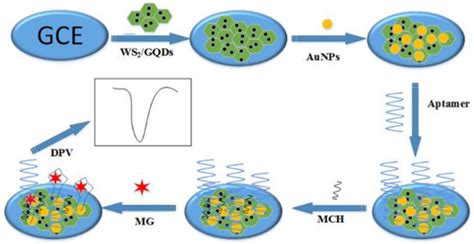 Modern Electrochemical Biosensing Based on Nucleic Acids and Carbon ...