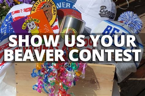 Image result for Spring Break Beaver Competition