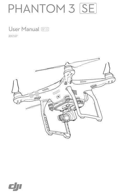 DJI Mini 2 Function Button 的图像结果