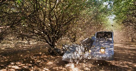 Trading Nut 的图像结果