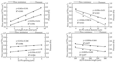Water Transport Characteristics of Multiple Structures of Xylem Vessels in Magnolia