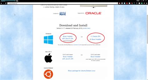 How to Use BlueJ Java 的图像结果
