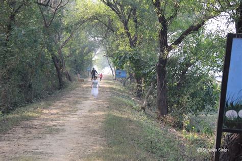 Official Website of UP Ecotourism