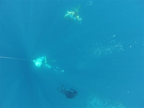 FREEDIVING UAE (2026) All You Need to Know BEFORE You Go (with Photos ...