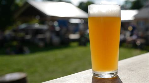 Image result for IPA Examples Drink