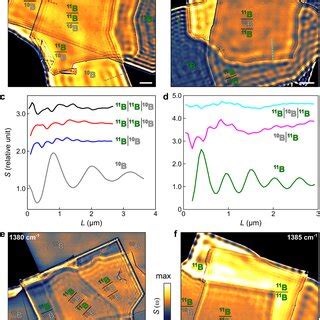 Snom Spectroscopy 的图像结果