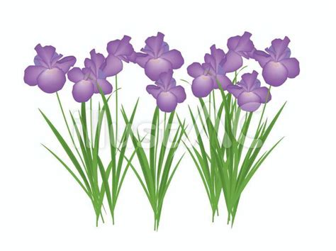 Image result for Stack Formation Graph