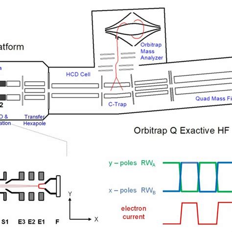 Image result for Orbitrap Exploris Schematic/Diagram