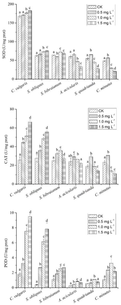 Phytotoxicity, Bioaccumulation, and Degradation of Nonylphenol in ...
