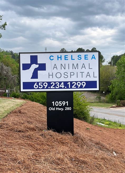 Southern Vet Partners – Vision Sign Group