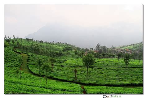 go2india.in : Green Valley view on the way to Dolphin nose from Coonoor ...