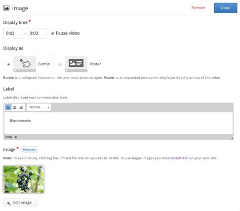 Image result for H5P Interactive Video Tutorial