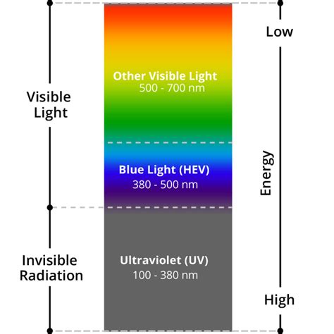 Kuvatulokset haulle blue vs red light spectrum