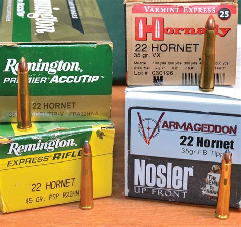 The Modern 22 Hornet | Handloader Magazine