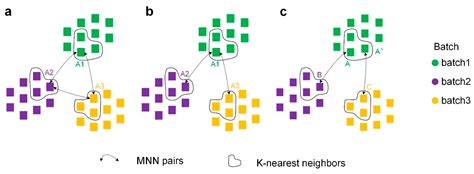 IMGG: Integrating Multiple Single-Cell Datasets through Connected ...