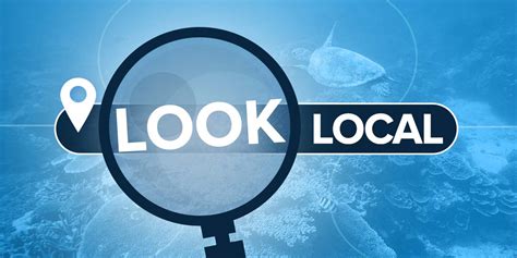 Look Local Logo Transparent 的图像结果