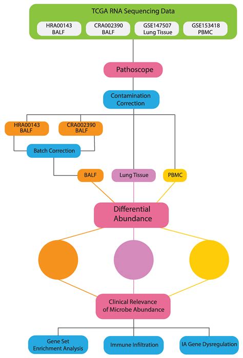 Identification of Lung and Blood Microbiota Implicated in COVID-19 ...