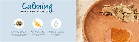 Wella Professionals Elements Calming Shampoo | 250 ml | Gentle, Mild ...