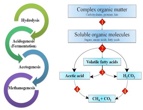 Anaerobic Digestion- Environment Notes
