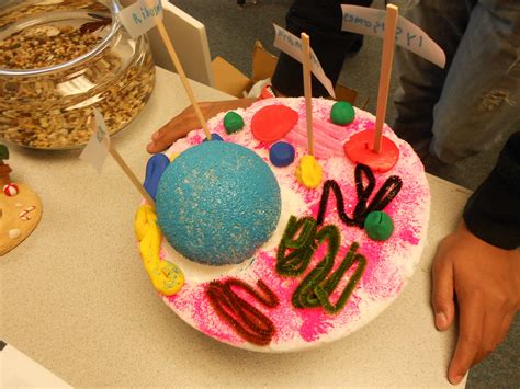 3D Cell Project 3d Cell Project, Cells Project, 3d Projects, School ...