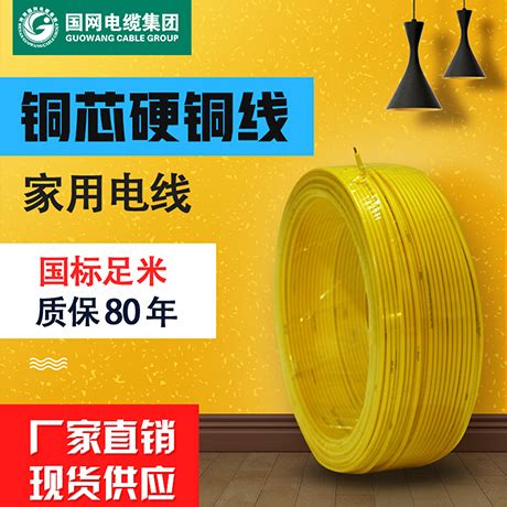 国网电缆 国标线缆BV2.5平方纯铜芯家装100米照明空调单芯单股 房地产采购电线 6/BV