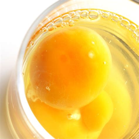 Limpia del huevo: procedimiento e interpretación | GUÍA COMPLETA