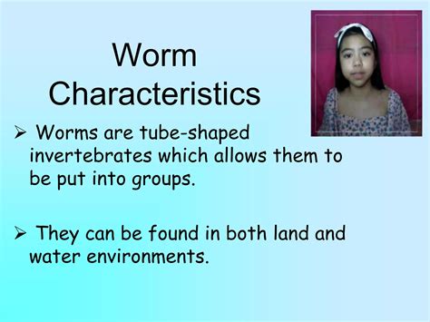 Classification of Animals-Seanna Sofiah Santillan.ppt