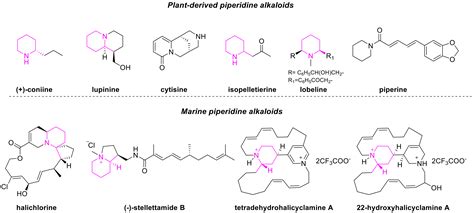 Total Synthesis of (–)-Anaferine: A Further Ramification in a Diversity ...